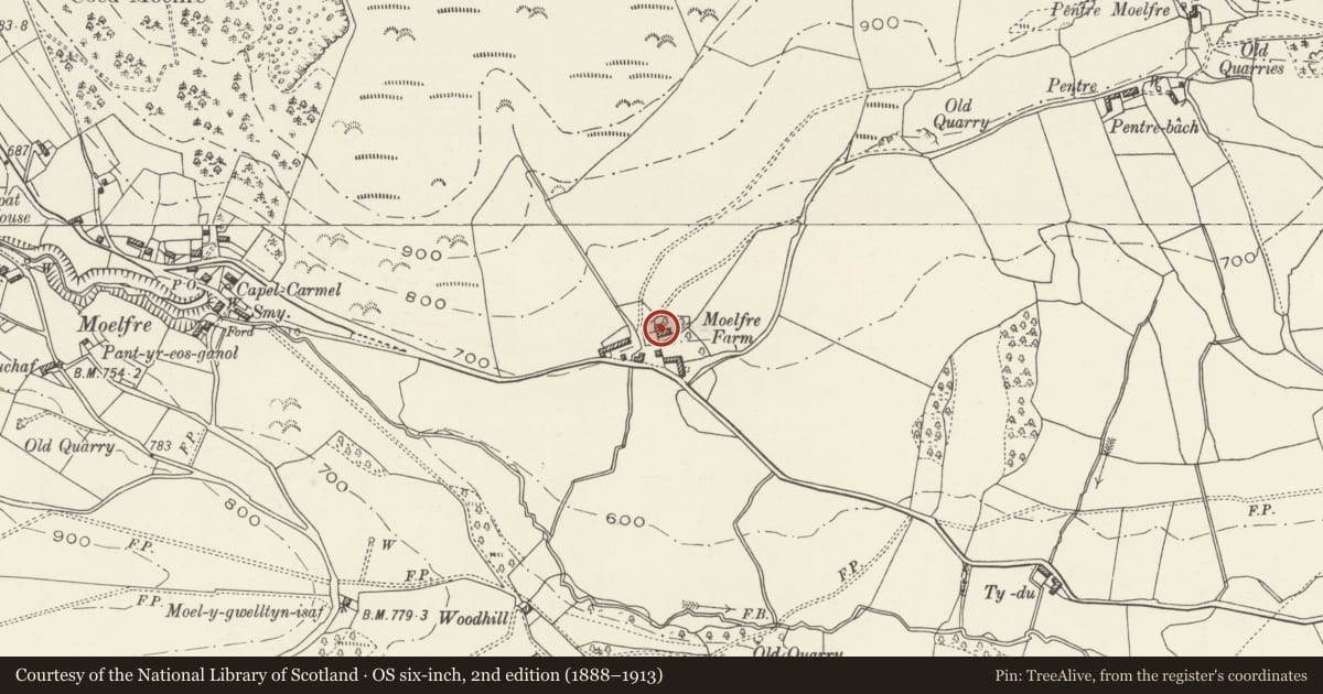 Ordnance Survey six-inch map, 2nd edition (1888–1913) covering the location of Moelfre Hall, Llansilin, Powys, with a pin at the register's coordinates