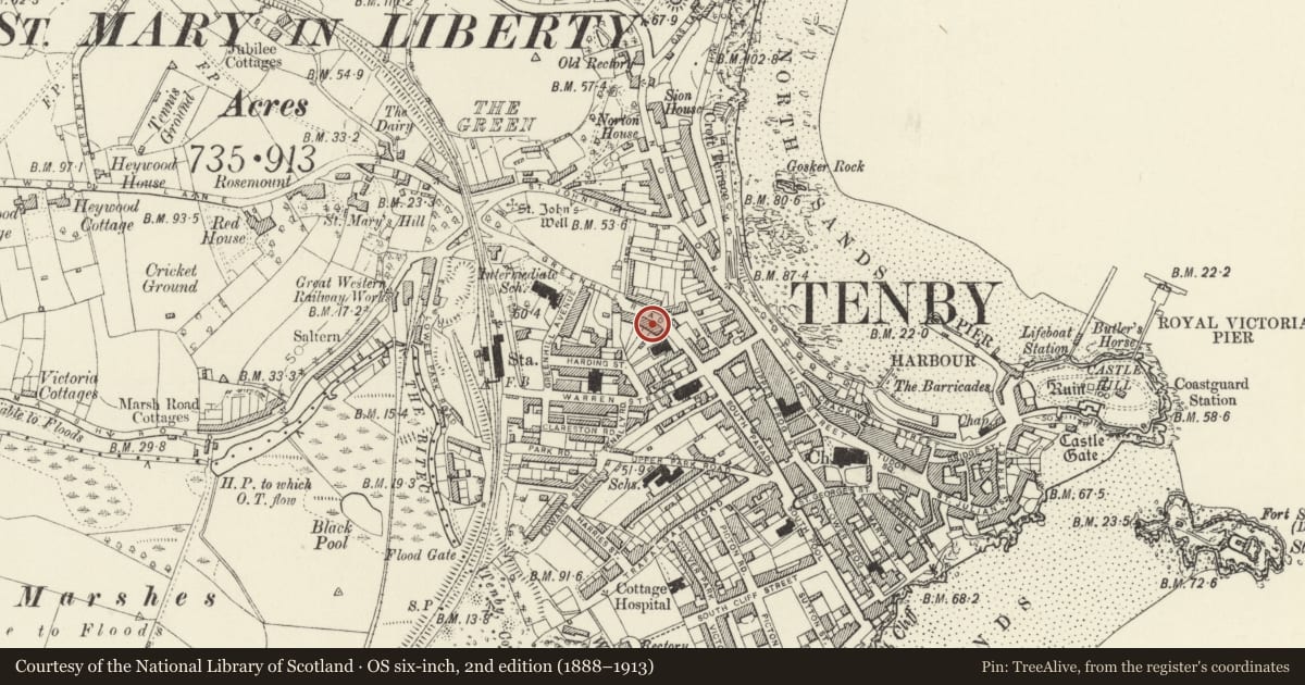 Ordnance Survey six-inch map, 2nd edition (1888–1913) covering the location of No 8 Deer Park (Flint House) and railings, Tenby, Pembrokeshire, with a pin at the register's coordinates