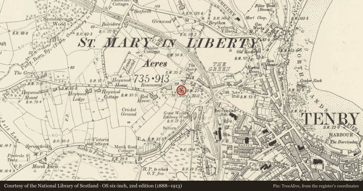 Ordnance Survey six-inch map, 2nd edition (1888–1913) covering the location of St Mary's House, Tenby, Pembrokeshire, with a pin at the register's coordinates