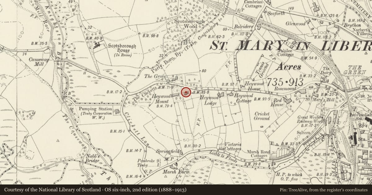Ordnance Survey six-inch map, 2nd edition (1888–1913) covering the location of Broadmead, Tenby, Pembrokeshire, with a pin at the register's coordinates