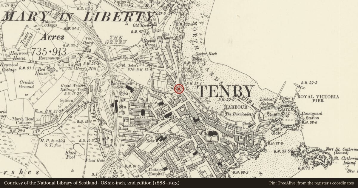 Ordnance Survey six-inch map, 2nd edition (1888–1913) covering the location of High Seas, Tenby, Pembrokeshire, with a pin at the register's coordinates