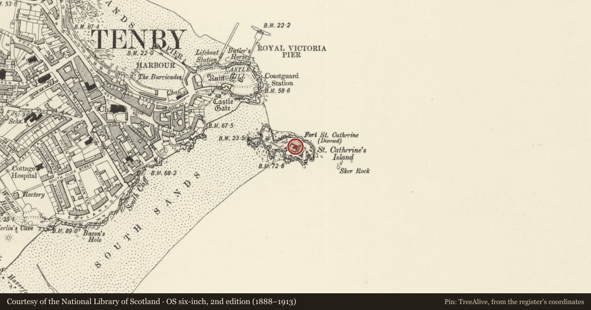Ordnance Survey six-inch map, 2nd edition (1888–1913) covering the location of Saint Catherine's Fort, Tenby, Pembrokeshire, with a pin at the register's coordinates