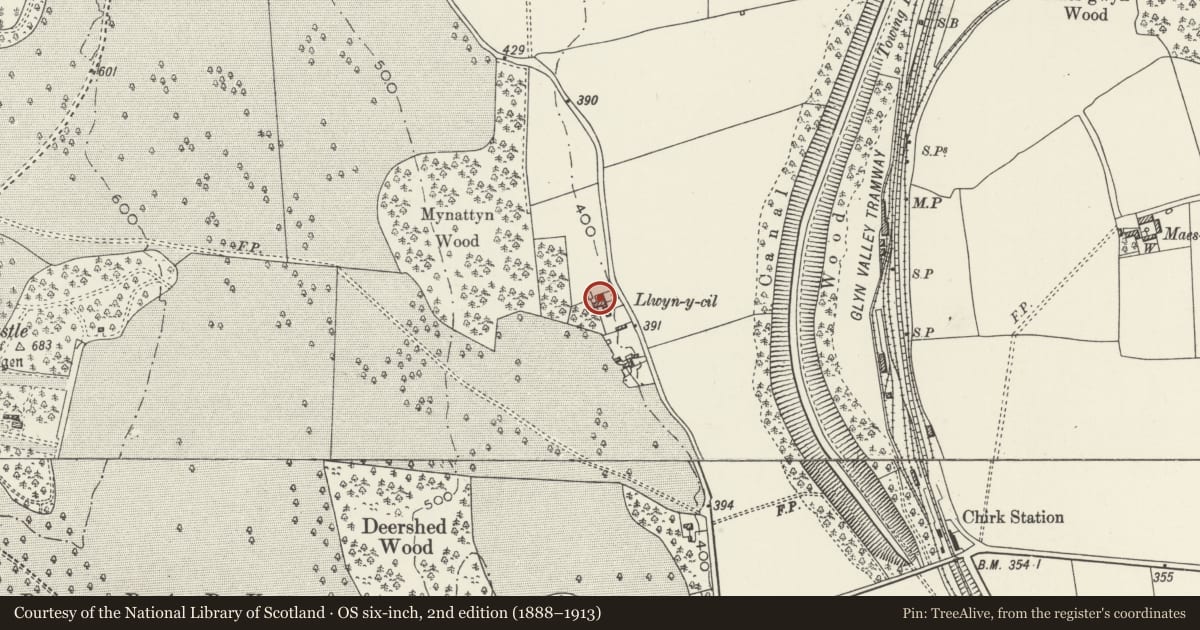 Ordnance Survey six-inch map, 2nd edition (1888–1913) covering the location of Nos 6 & 7 Coed-derw, Chirk, Wrexham, with a pin at the register's coordinates