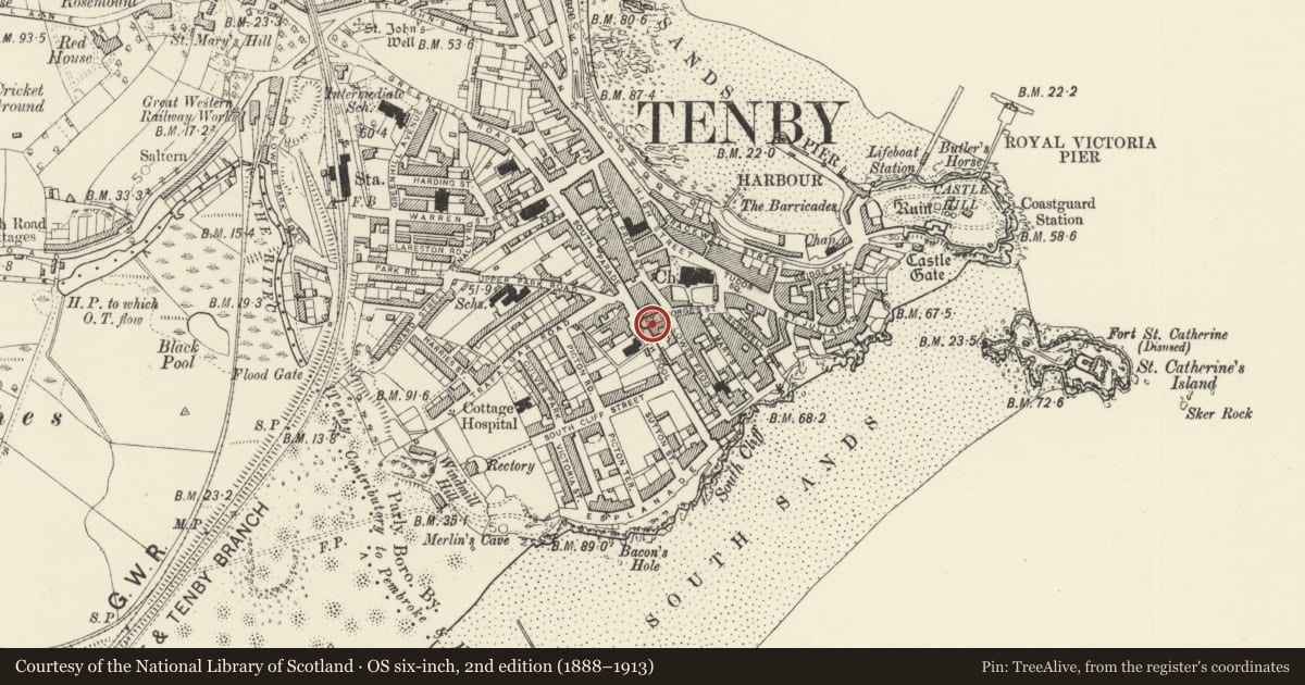 Ordnance Survey six-inch map, 2nd edition (1888–1913) covering the location of The Bush Inn, Tenby, Pembrokeshire, with a pin at the register's coordinates