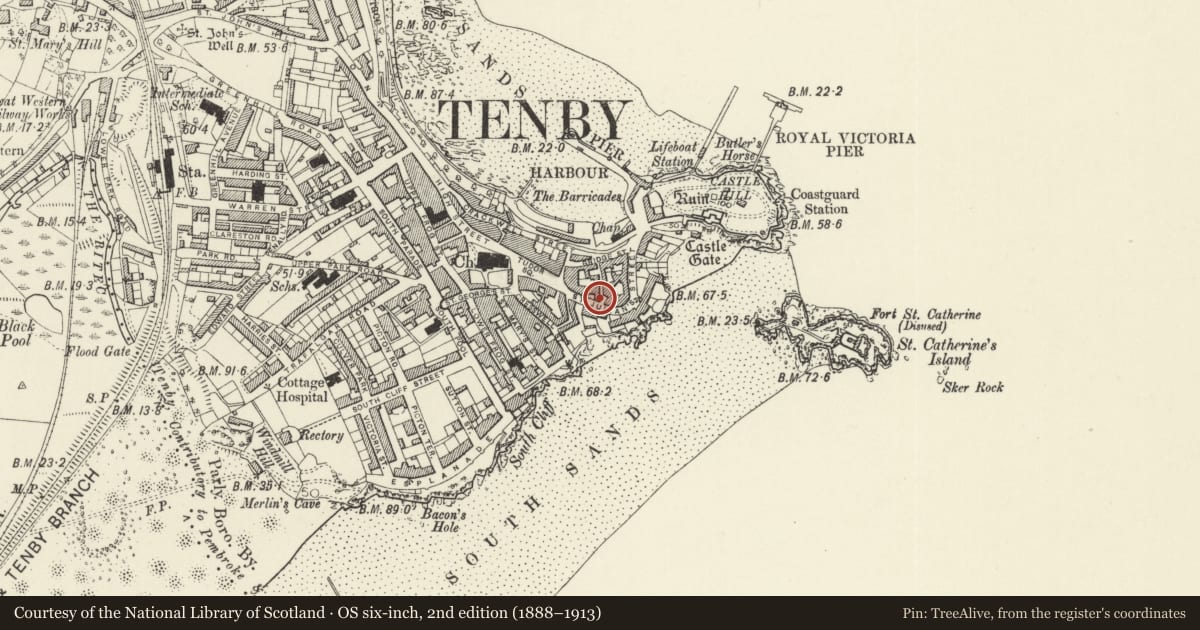 Ordnance Survey six-inch map, 2nd edition (1888–1913) covering the location of Borough House, Tenby, Pembrokeshire, with a pin at the register's coordinates