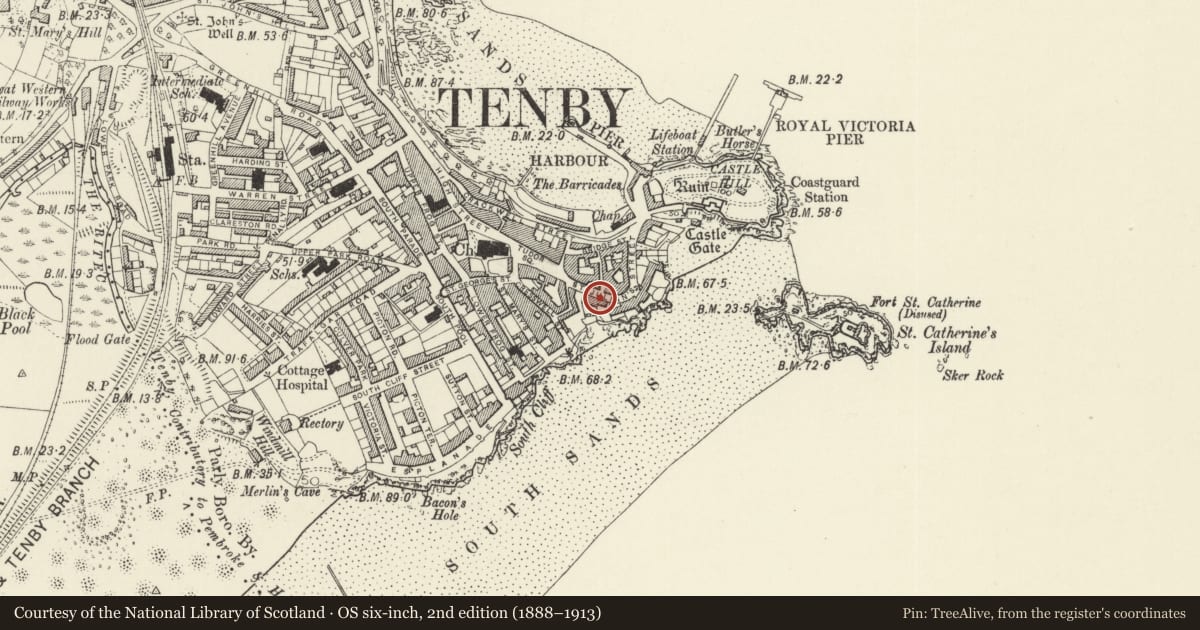 Ordnance Survey six-inch map, 2nd edition (1888–1913) covering the location of No 1 Rock Terrace, including area railings, Tenby, Pembrokeshire, with a pin at the register's coordinates