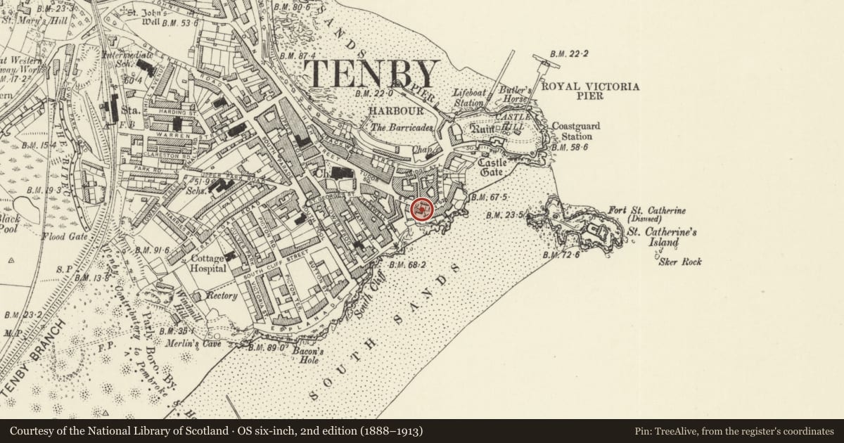Ordnance Survey six-inch map, 2nd edition (1888–1913) covering the location of No 2 Rock Terrace, including area railings, Tenby, Pembrokeshire, with a pin at the register's coordinates