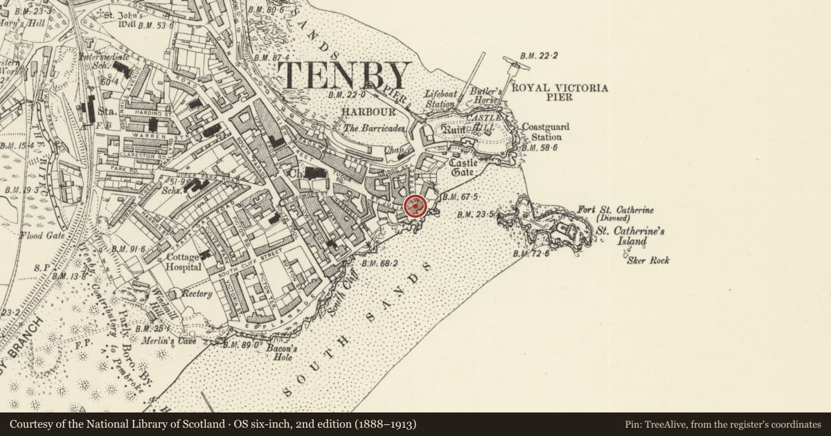Ordnance Survey six-inch map, 2nd edition (1888–1913) covering the location of No 4 Rock Houses (Tide's Reach) including area railings, Tenby, Pembrokeshire, with a pin at the register's coordinates
