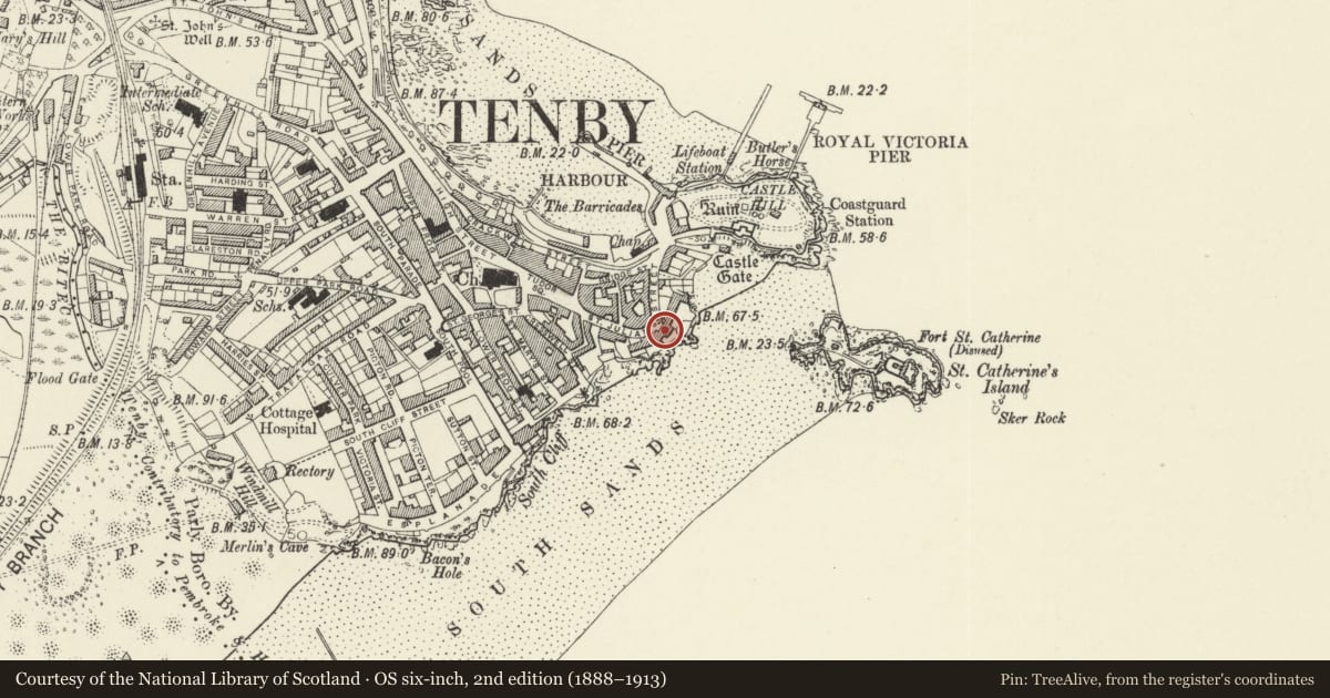 Ordnance Survey six-inch map, 2nd edition (1888–1913) covering the location of No 5 Rock Houses (Caldey View) including area and forecourt railings, Tenby, Pembrokeshire, with a pin at the register's coordinates