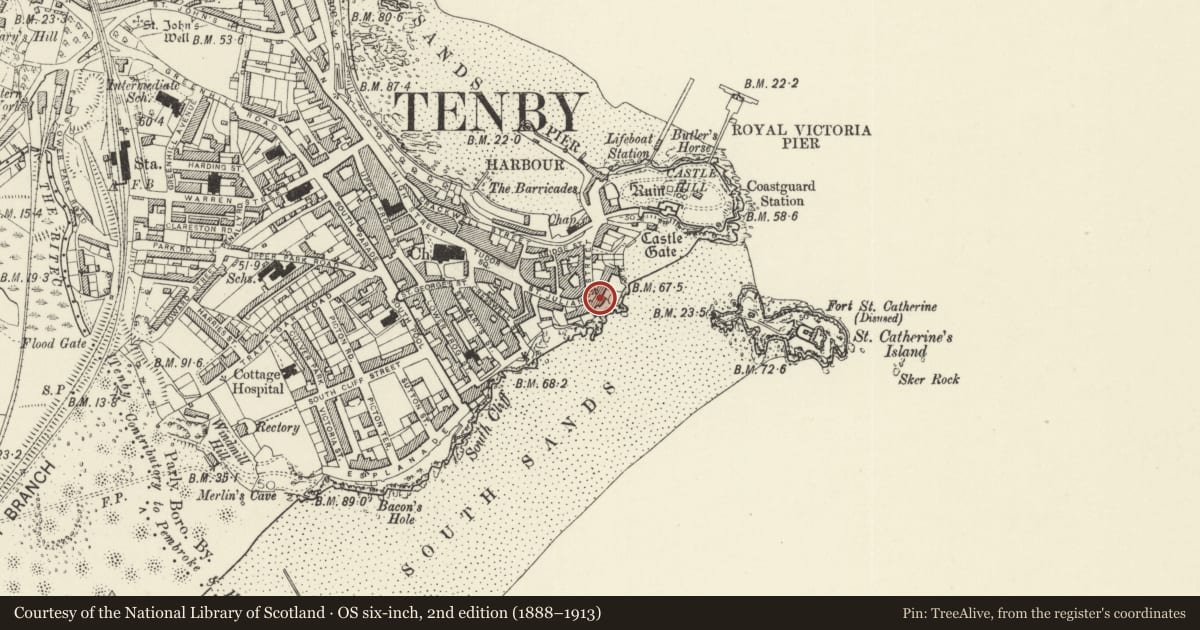Ordnance Survey six-inch map, 2nd edition (1888–1913) covering the location of No 6 Rock Houses (Little Rock House) including railings, Tenby, Pembrokeshire, with a pin at the register's coordinates