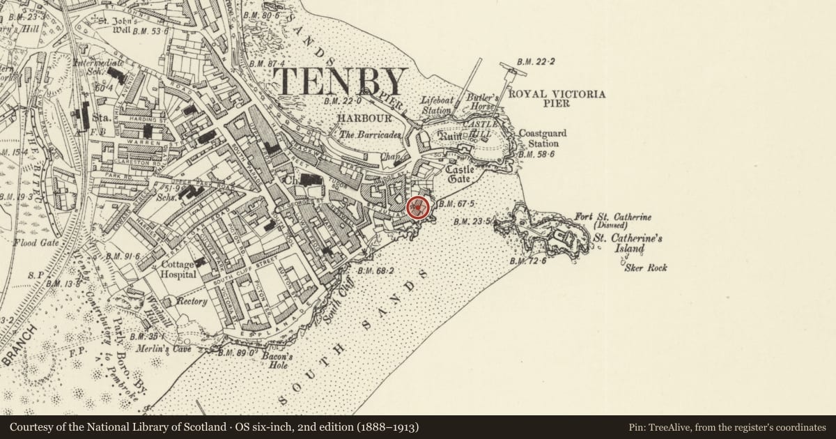 Ordnance Survey six-inch map, 2nd edition (1888–1913) covering the location of No 7 Rock Houses (East Rock House) including area and forecourt railings, Tenby, Pembrokeshire, with a pin at the register's coordinates