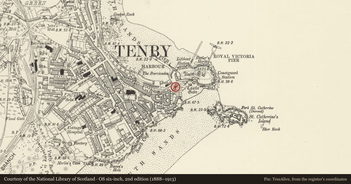 Ordnance Survey six-inch map, 2nd edition (1888–1913) covering the location of No 3 St Julian Terrace (Beauchief House), Tenby, Pembrokeshire, with a pin at the register's coordinates