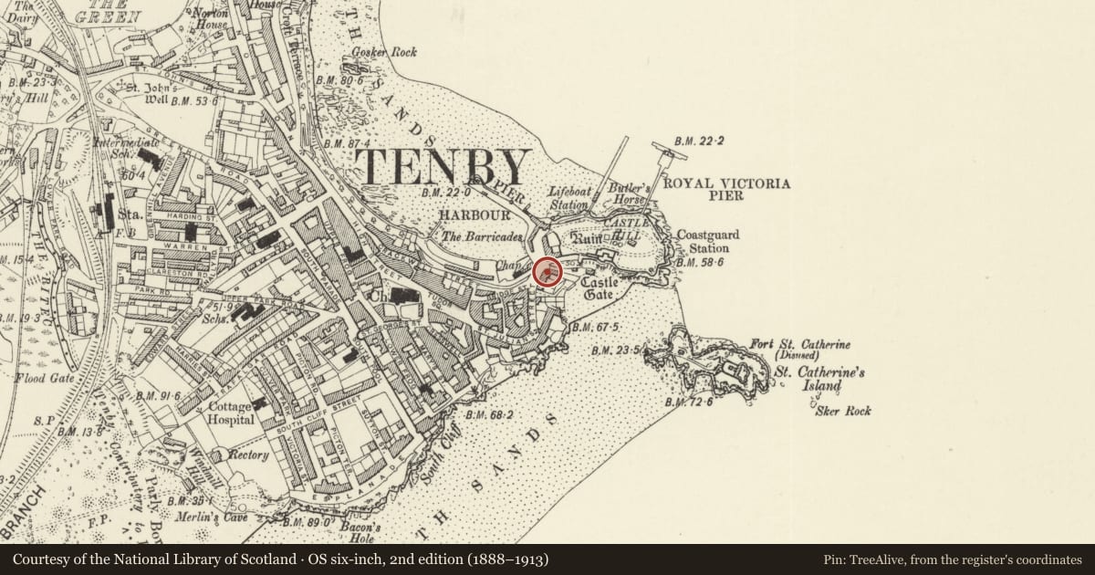 Ordnance Survey six-inch map, 2nd edition (1888–1913) covering the location of No 5 St Julian Terrace, Tenby, Pembrokeshire, with a pin at the register's coordinates