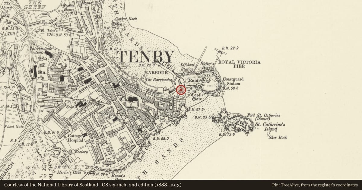 Ordnance Survey six-inch map, 2nd edition (1888–1913) covering the location of No 6 St Julian Terrace, Tenby, Pembrokeshire, with a pin at the register's coordinates