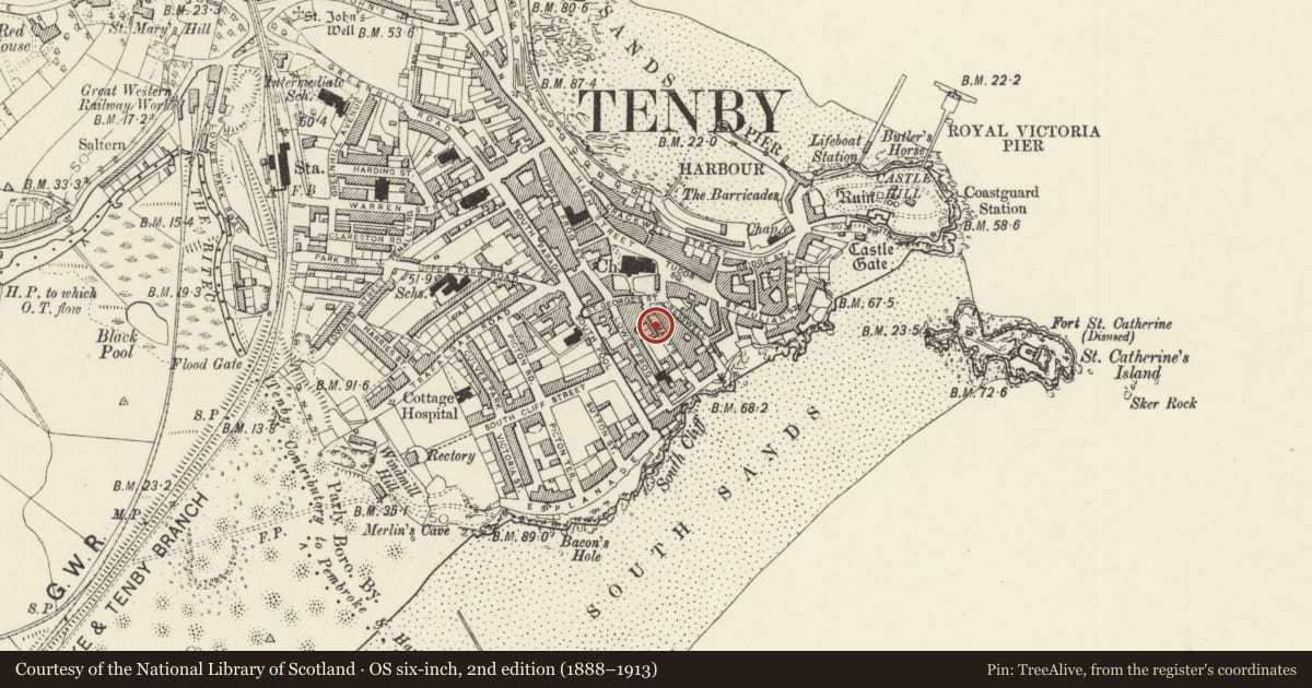 Ordnance Survey six-inch map, 2nd edition (1888–1913) covering the location of No 3 Olive Buildings (The Blue Dolphin Hotel), including railings, Tenby, Pembrokeshire, with a pin at the register's coordinates