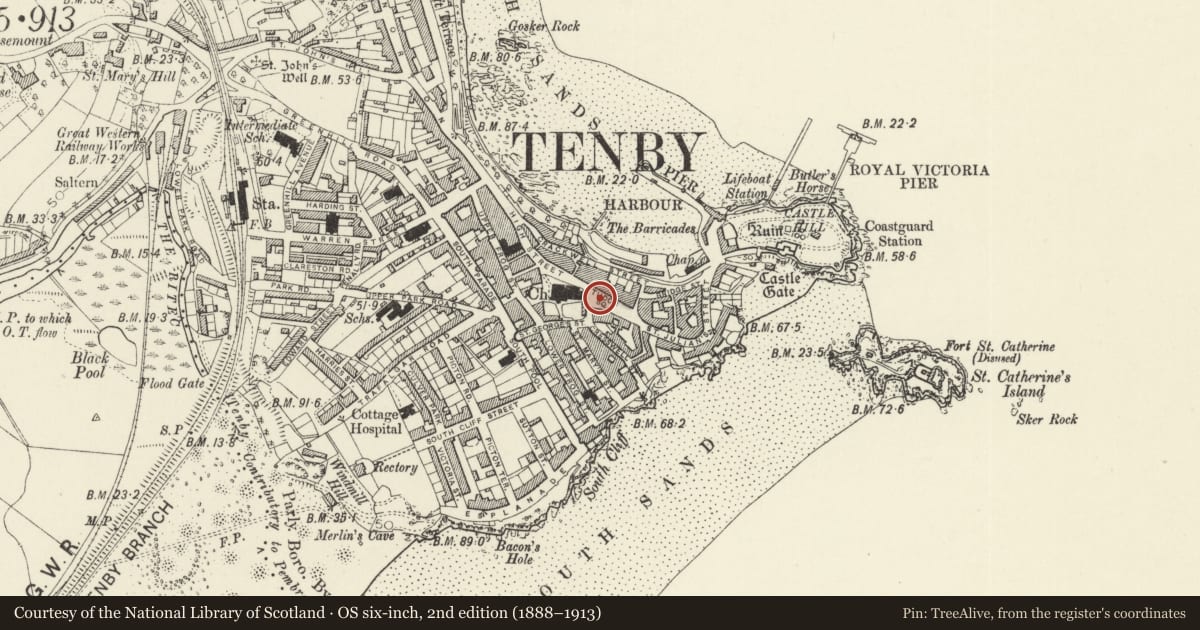 Ordnance Survey six-inch map, 2nd edition (1888–1913) covering the location of Wedgwood Memorial Fountain, Tenby, Pembrokeshire, with a pin at the register's coordinates