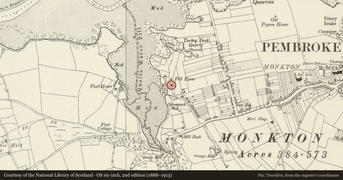 Ordnance Survey six-inch map, 2nd edition (1888–1913) covering the location of SE lime kiln at Pill Farm, Pembroke, Pembrokeshire, with a pin at the register's coordinates