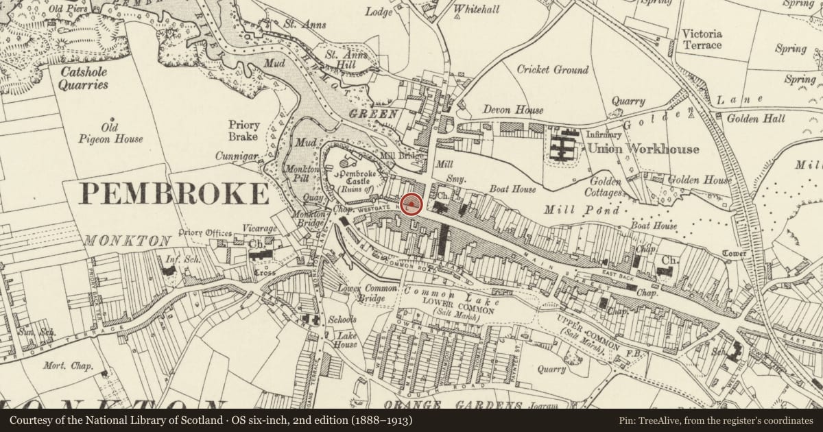 Ordnance Survey six-inch map, 2nd edition (1888–1913) covering the location of 4 & 5 Castle Terrace, Pembroke, Pembrokeshire, with a pin at the register's coordinates