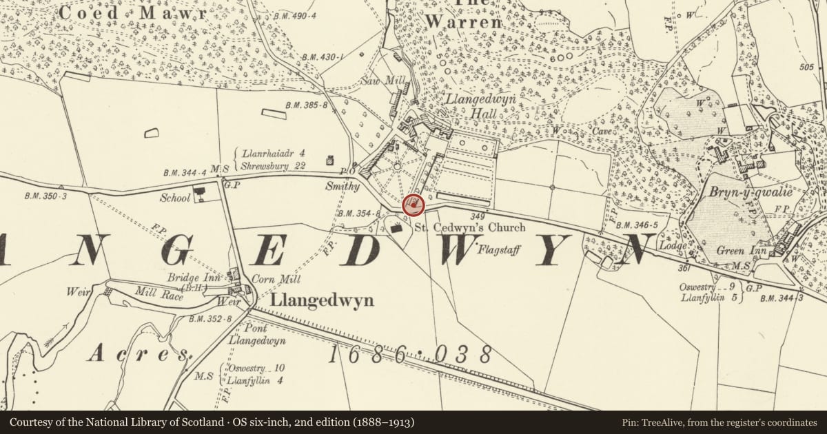 Ordnance Survey six-inch map, 2nd edition (1888–1913) covering the location of Gatepiers and Gates at Llangedwyn Hall, Powys, with a pin at the register's coordinates