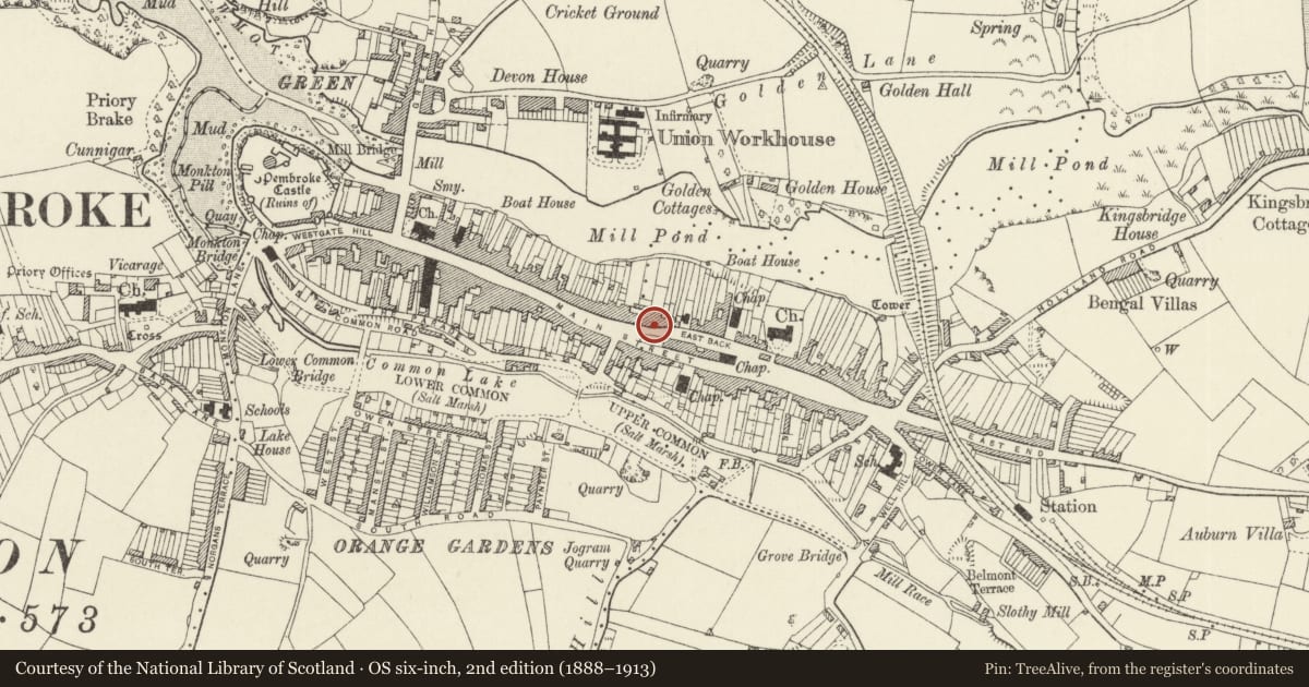 Ordnance Survey six-inch map, 2nd edition (1888–1913) covering the location of Elm Cottage, Pembroke, Pembrokeshire, with a pin at the register's coordinates