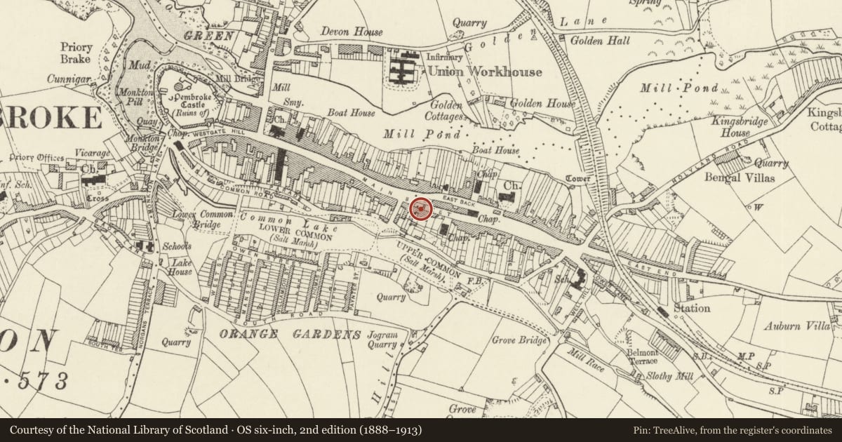 Ordnance Survey six-inch map, 2nd edition (1888–1913) covering the location of Elm Tree House, Pembroke, Pembrokeshire, with a pin at the register's coordinates