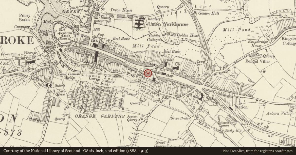 Ordnance Survey six-inch map, 2nd edition (1888–1913) covering the location of Nos 89/91 Main Street, Pembroke, Pembrokeshire, with a pin at the register's coordinates