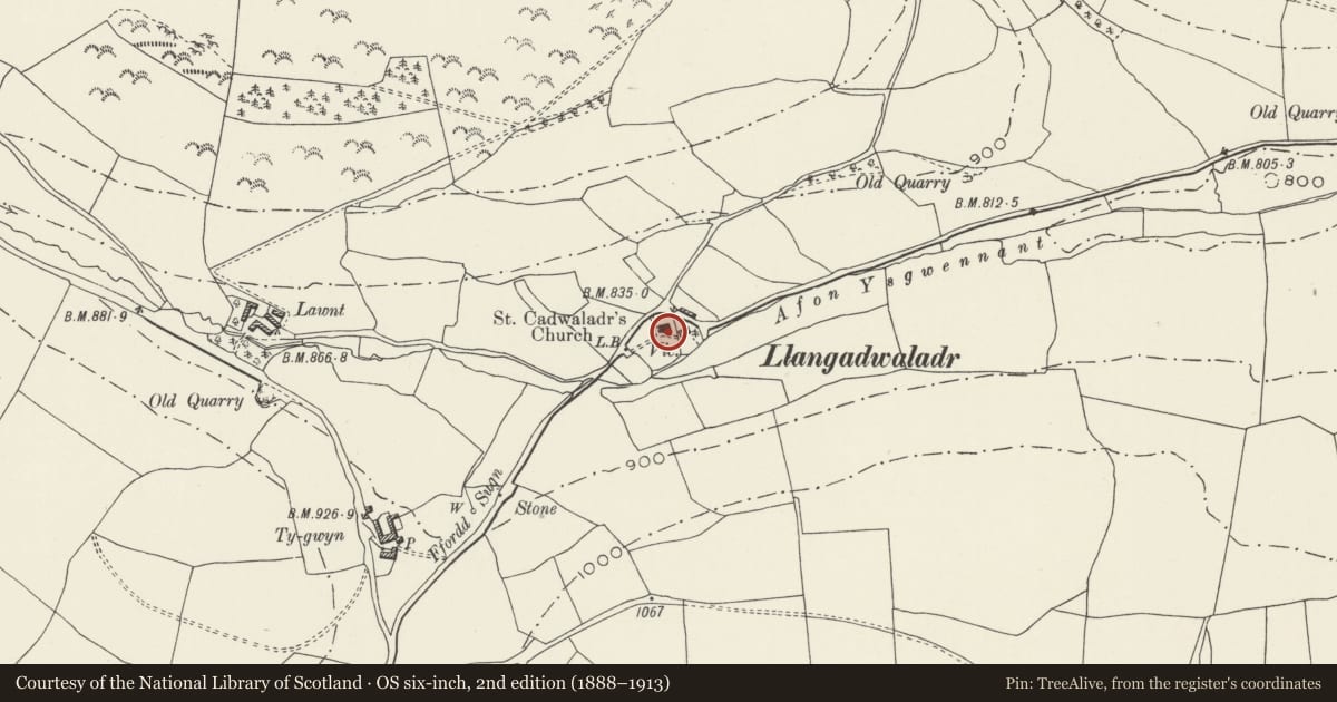 Ordnance Survey six-inch map, 2nd edition (1888–1913) covering the location of Church of St. Cadwaladr, Llangadwaladr, Llansilin, Powys, with a pin at the register's coordinates