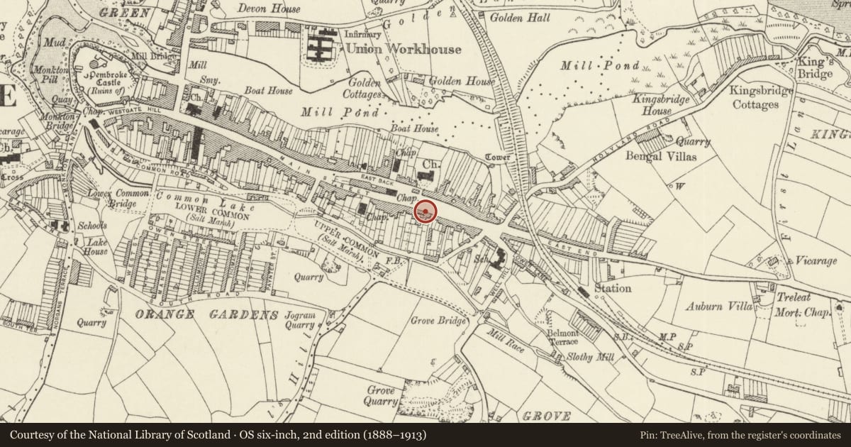 Ordnance Survey six-inch map, 2nd edition (1888–1913) covering the location of 113 Main Street, Pembroke, Pembrokeshire, with a pin at the register's coordinates