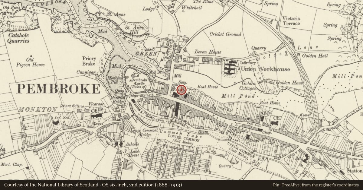 Ordnance Survey six-inch map, 2nd edition (1888–1913) covering the location of N, E and W walls to the churchyard of the Church of Saint Mary, Pembroke, Pembrokeshire, with a pin at the register's coordinates