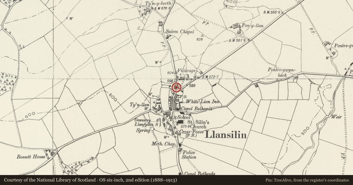 Ordnance Survey six-inch map, 2nd edition (1888–1913) covering the location of Bronwylfa, Llansilin, Powys, with a pin at the register's coordinates