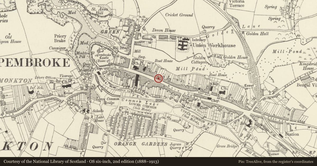 Ordnance Survey six-inch map, 2nd edition (1888–1913) covering the location of 36 Main Street, Pembroke, Pembrokeshire, with a pin at the register's coordinates