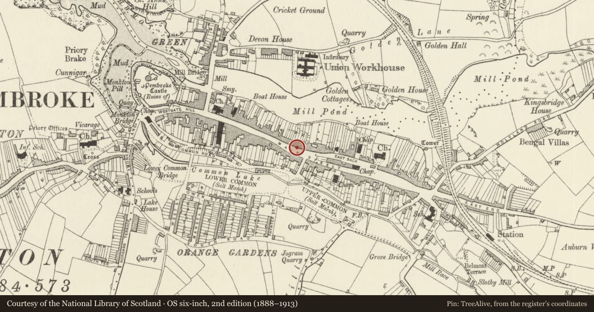 Ordnance Survey six-inch map, 2nd edition (1888–1913) covering the location of Chain Back with conduit and milestone, Pembroke, Pembrokeshire, with a pin at the register's coordinates