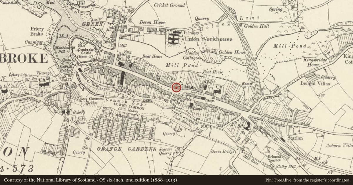 Ordnance Survey six-inch map, 2nd edition (1888–1913) covering the location of Woodbine with front wall and railings, Pembroke, Pembrokeshire, with a pin at the register's coordinates