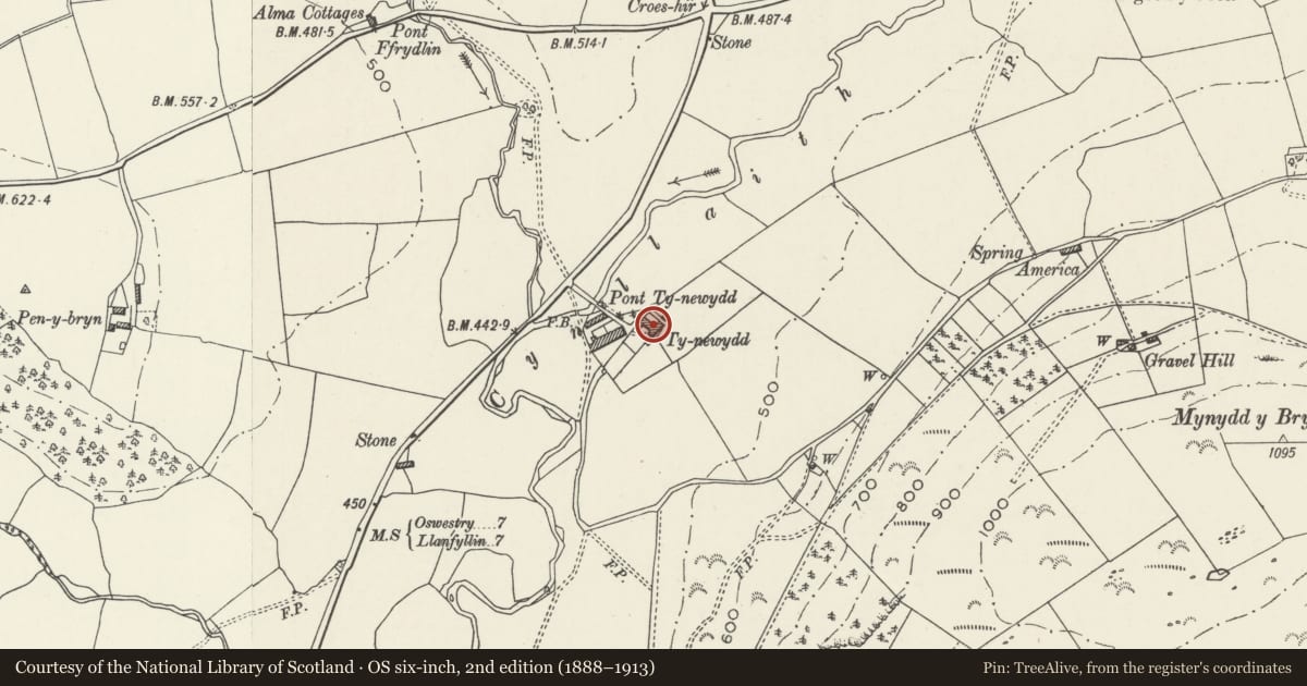 Ordnance Survey six-inch map, 2nd edition (1888–1913) covering the location of Ty-newydd, Llansilin, Powys, with a pin at the register's coordinates