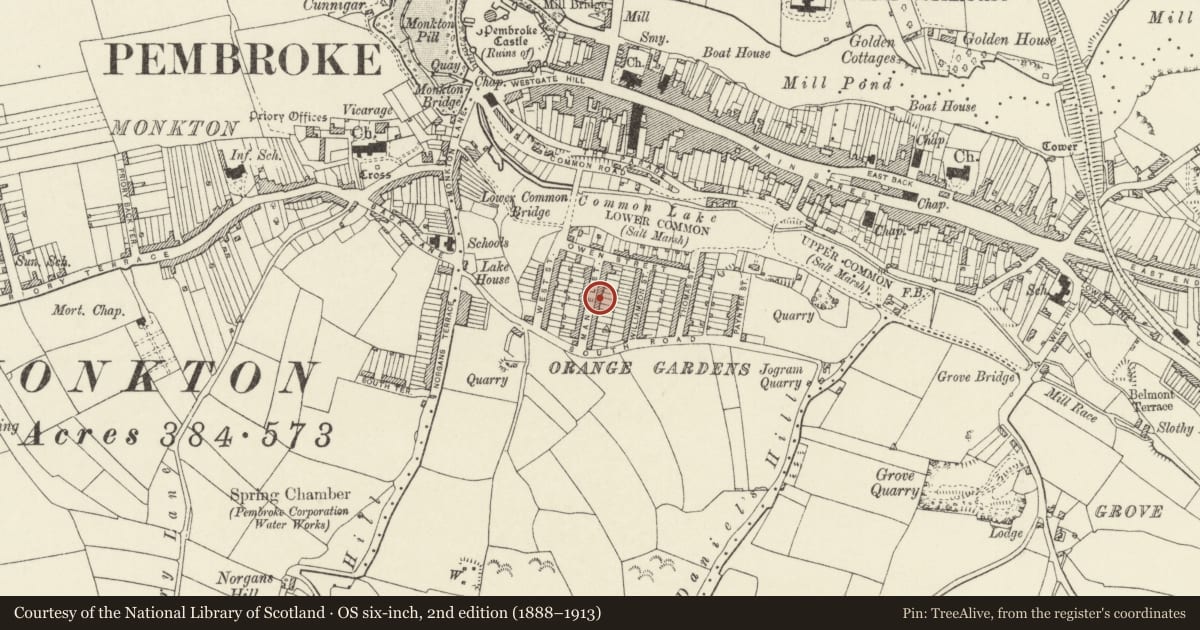 Ordnance Survey six-inch map, 2nd edition (1888–1913) covering the location of 17 Mansel Street, Pembroke, Pembrokeshire, with a pin at the register's coordinates