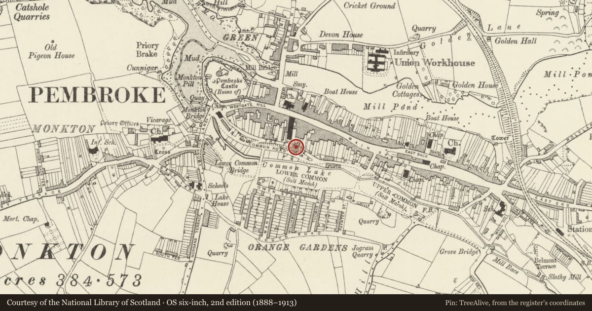 Ordnance Survey six-inch map, 2nd edition (1888–1913) covering the location of South retaining walls to The Parade, Pembroke, Pembrokeshire, with a pin at the register's coordinates