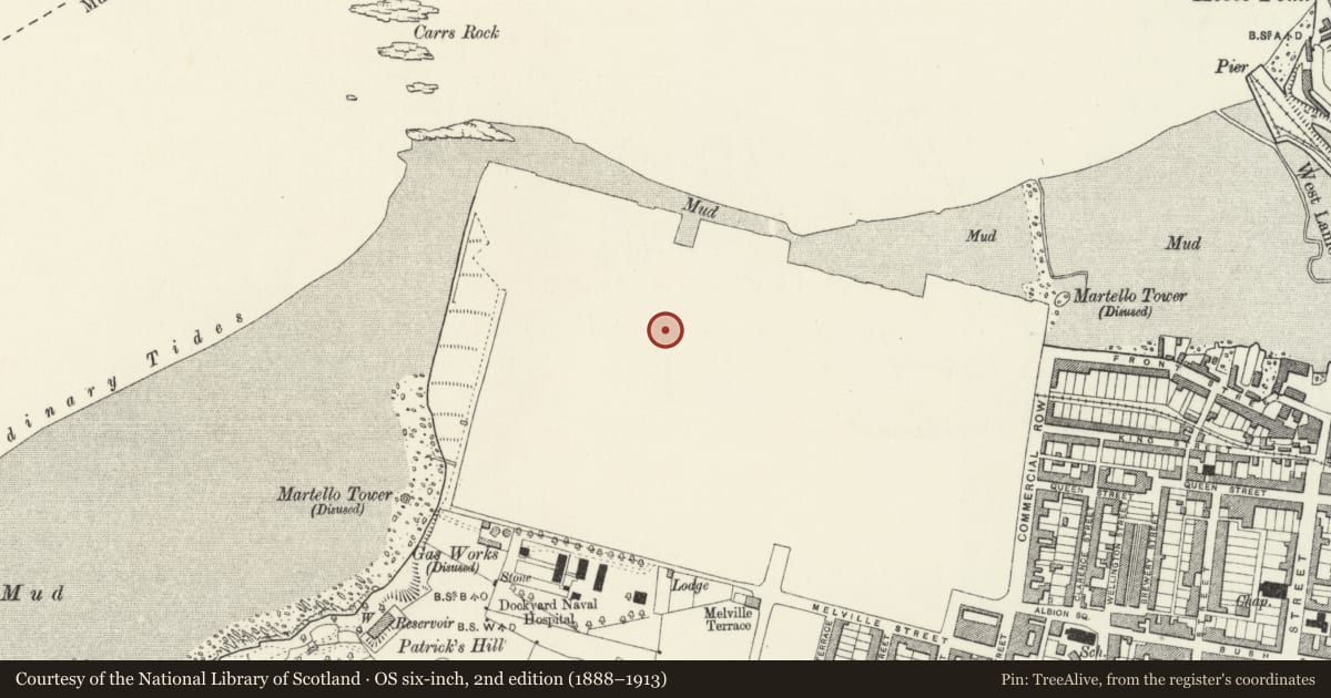 Ordnance Survey six-inch map, 2nd edition (1888–1913) covering the location of Former Oakum Store, Pembroke Dock, Pembrokeshire, with a pin at the register's coordinates