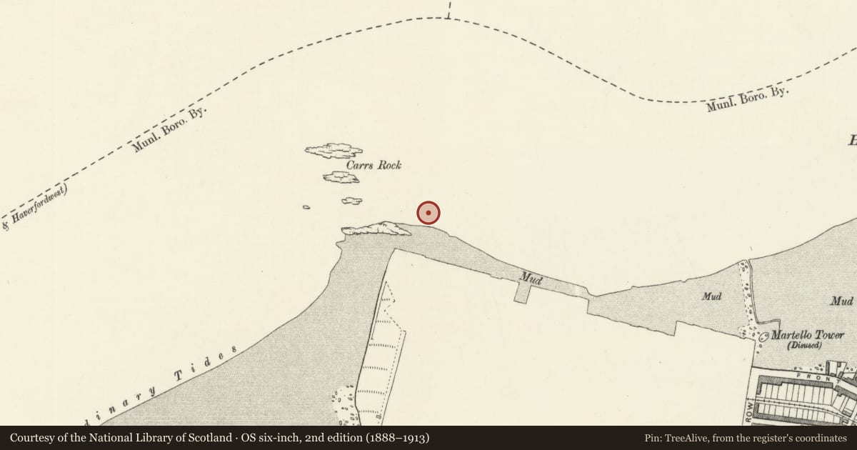 Ordnance Survey six-inch map, 2nd edition (1888–1913) covering the location of Carr Jetty, Pembroke Dock, Pembrokeshire, with a pin at the register's coordinates