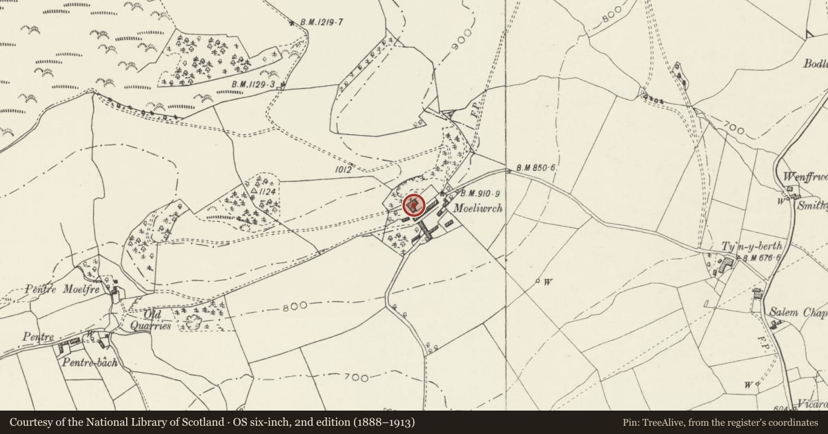 Ordnance Survey six-inch map, 2nd edition (1888–1913) covering the location of Moeliwrch, Llansilin, Powys, with a pin at the register's coordinates