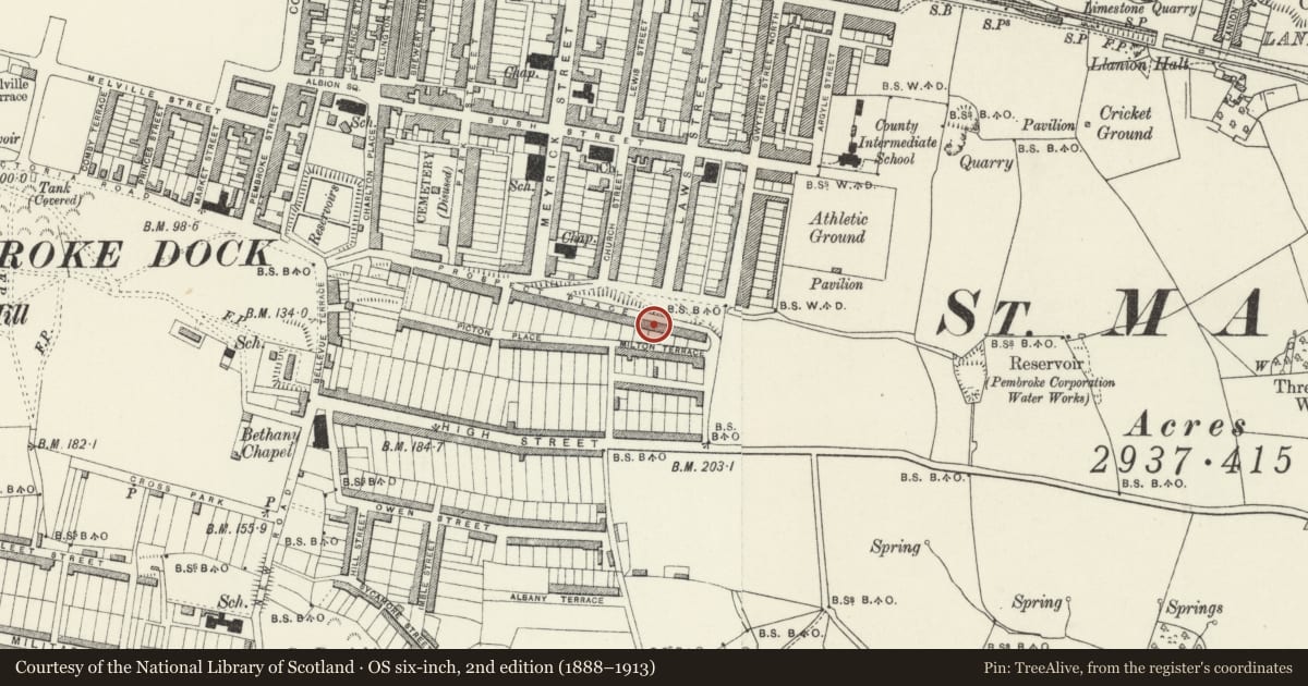 Ordnance Survey six-inch map, 2nd edition (1888–1913) covering the location of 47 Prospect Place, Pembroke Dock, Pembrokeshire, with a pin at the register's coordinates