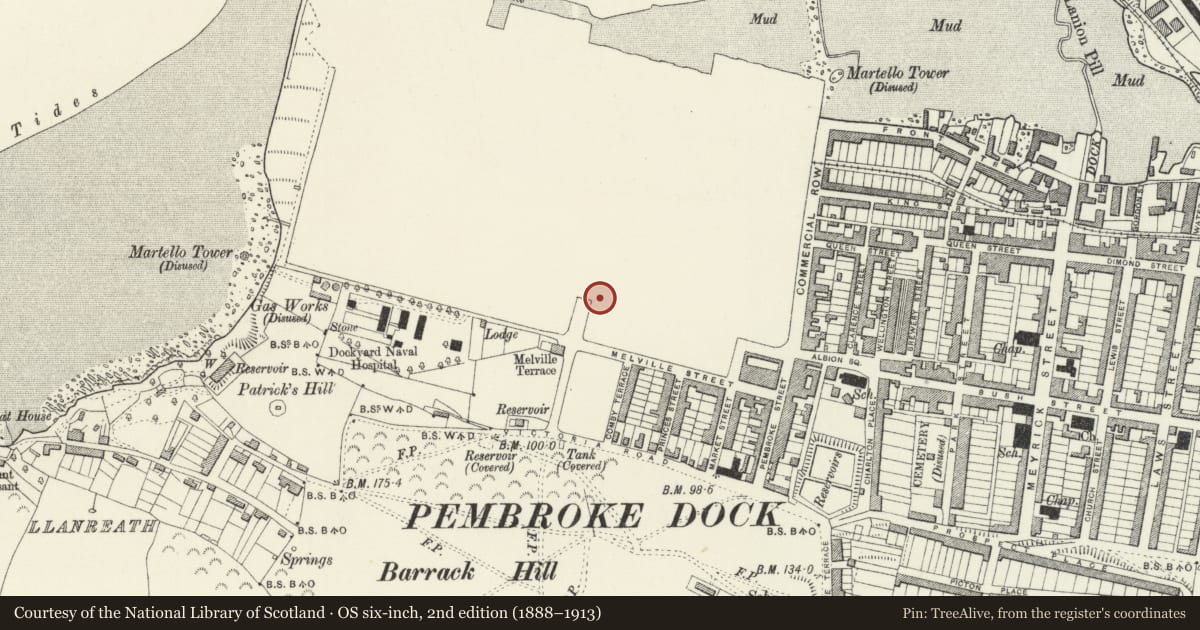 Ordnance Survey six-inch map, 2nd edition (1888–1913) covering the location of 1 The Terrace, Pembroke Dock, Pembrokeshire, with a pin at the register's coordinates