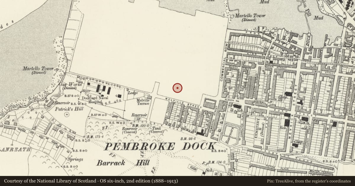 Ordnance Survey six-inch map, 2nd edition (1888–1913) covering the location of 4 The Terrace, Pembroke Dock, Pembrokeshire, with a pin at the register's coordinates