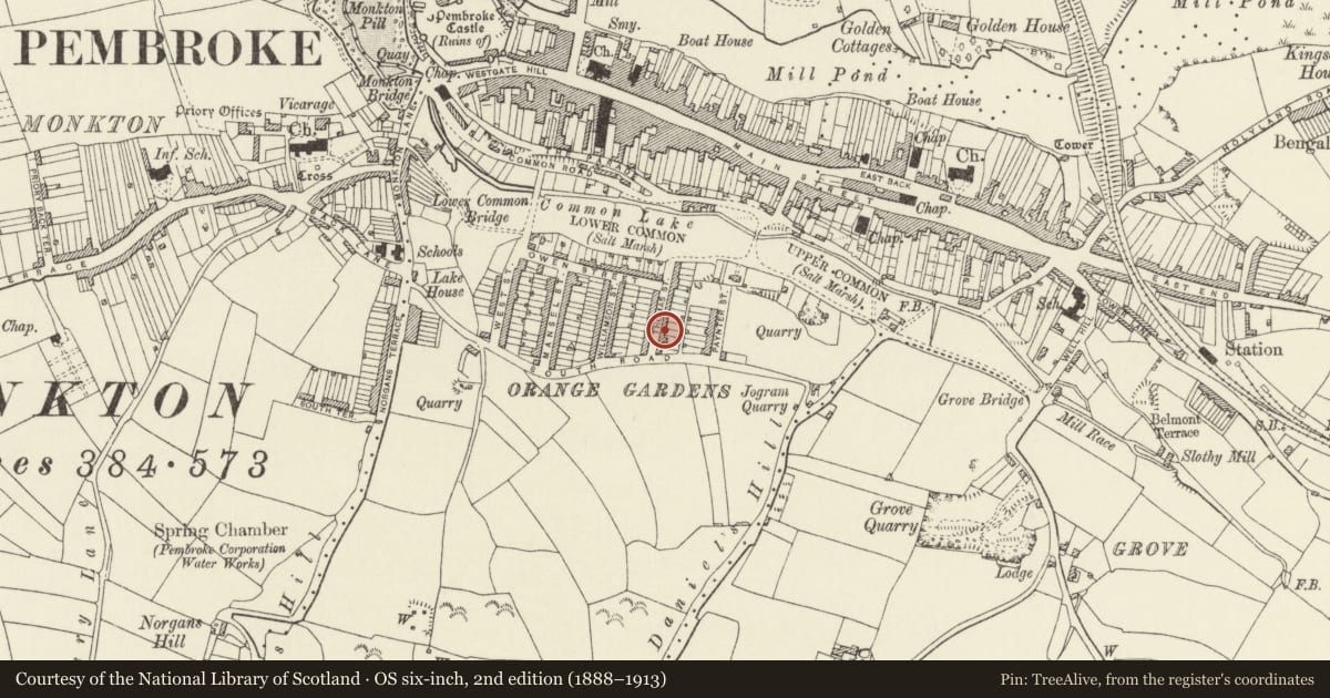 Ordnance Survey six-inch map, 2nd edition (1888–1913) covering the location of 23 Thomas Street, Pembroke, Pembrokeshire, with a pin at the register's coordinates
