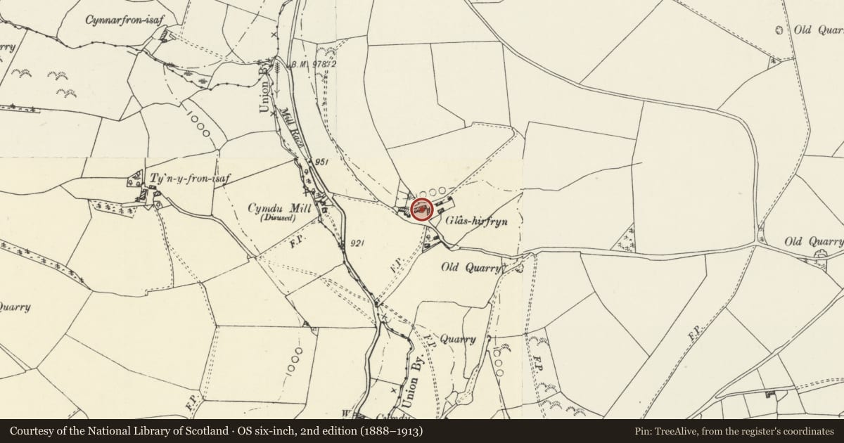 Ordnance Survey six-inch map, 2nd edition (1888–1913) covering the location of Glas Hirfryn, Llansilin, Powys, with a pin at the register's coordinates