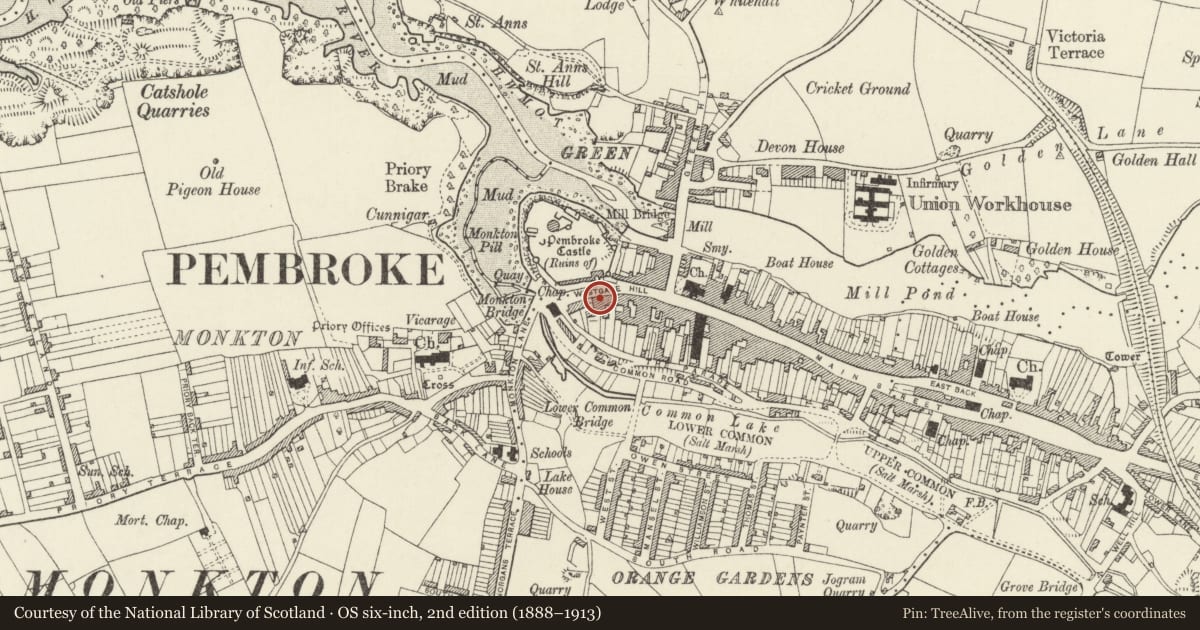 Ordnance Survey six-inch map, 2nd edition (1888–1913) covering the location of Castle Chambers including area railings, Pembroke, Pembrokeshire, with a pin at the register's coordinates