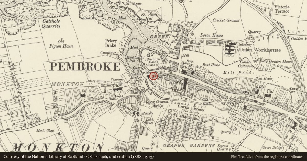 Ordnance Survey six-inch map, 2nd edition (1888–1913) covering the location of No 11 Westgate Hill including attached portion of West Gate to right, Pembroke, Pembrokeshire, with a pin at the register's coordinates