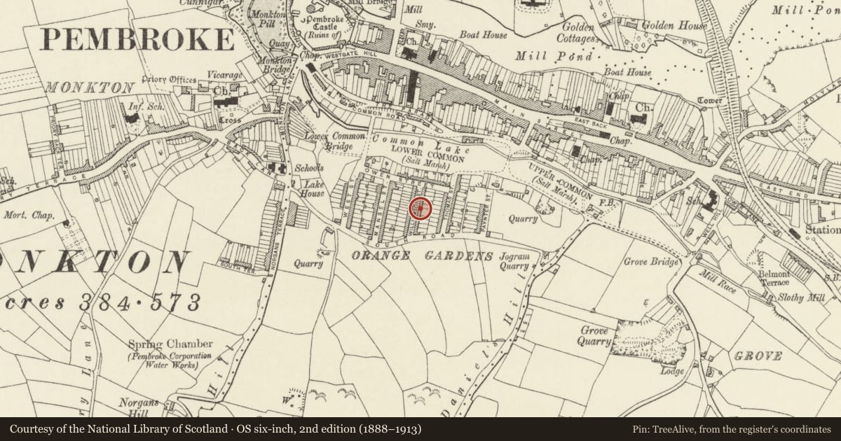 Ordnance Survey six-inch map, 2nd edition (1888–1913) covering the location of 11 Williamson Street, Pembroke, Pembrokeshire, with a pin at the register's coordinates