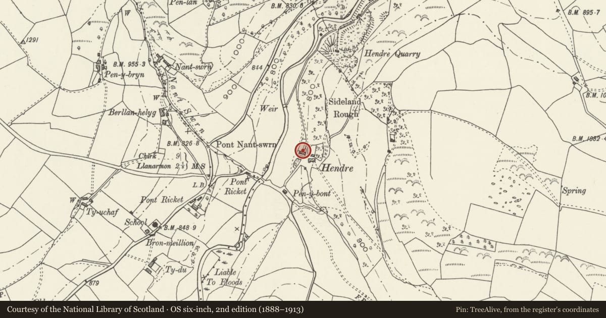 Ordnance Survey six-inch map, 2nd edition (1888–1913) covering the location of Hendre, Ceiriog Ucha, Wrexham, with a pin at the register's coordinates