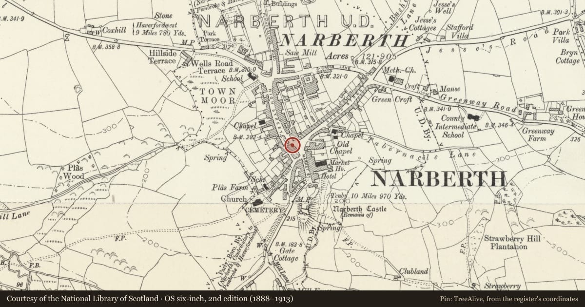 Ordnance Survey six-inch map, 2nd edition (1888–1913) covering the location of 16 Market Square, Narberth, Pembrokeshire, with a pin at the register's coordinates