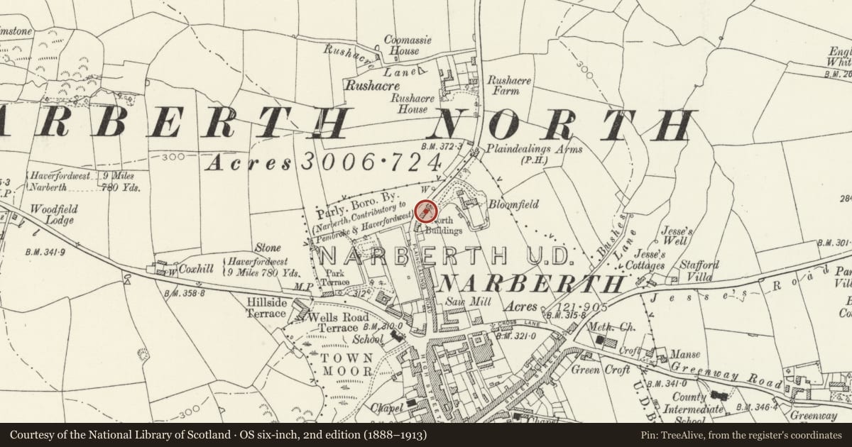 Ordnance Survey six-inch map, 2nd edition (1888–1913) covering the location of Bloomfield Terrace, Narberth, Pembrokeshire, with a pin at the register's coordinates